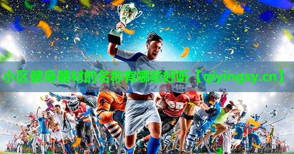 <strong>小区健身器材的名称有哪些好听</strong>